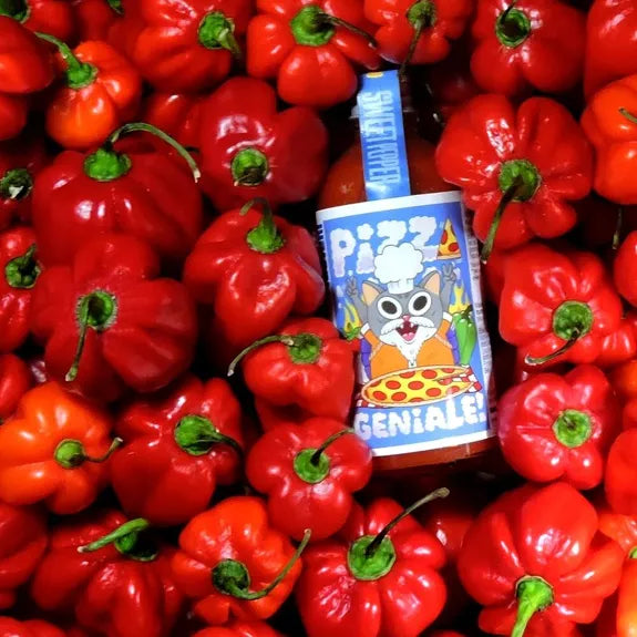 Sauce piquante PIZZA GENIALE