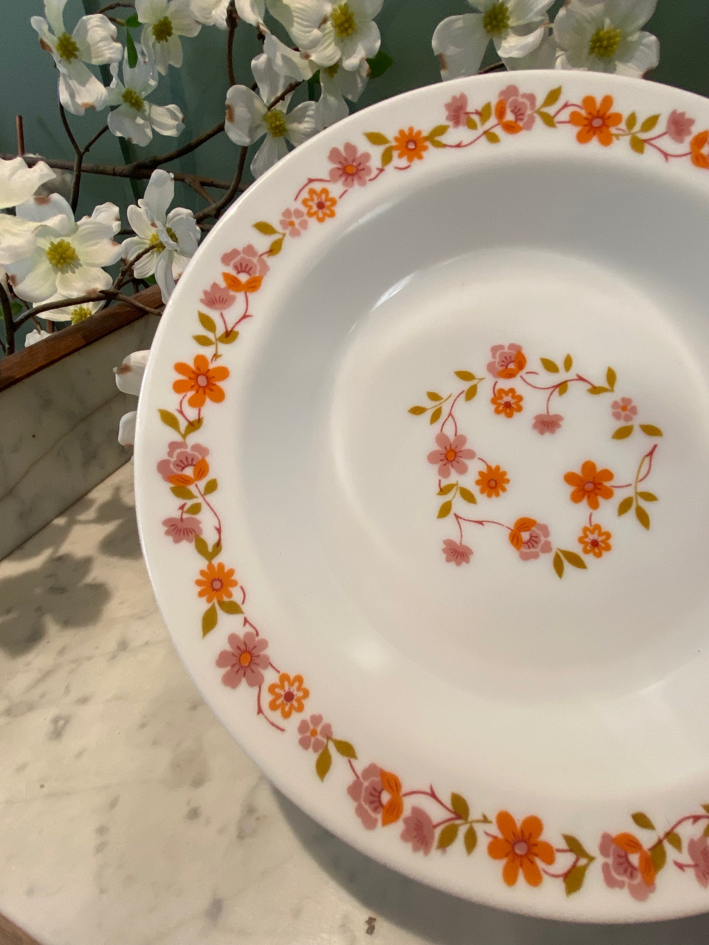 Lot de 10 assiettes creuses Arcopa