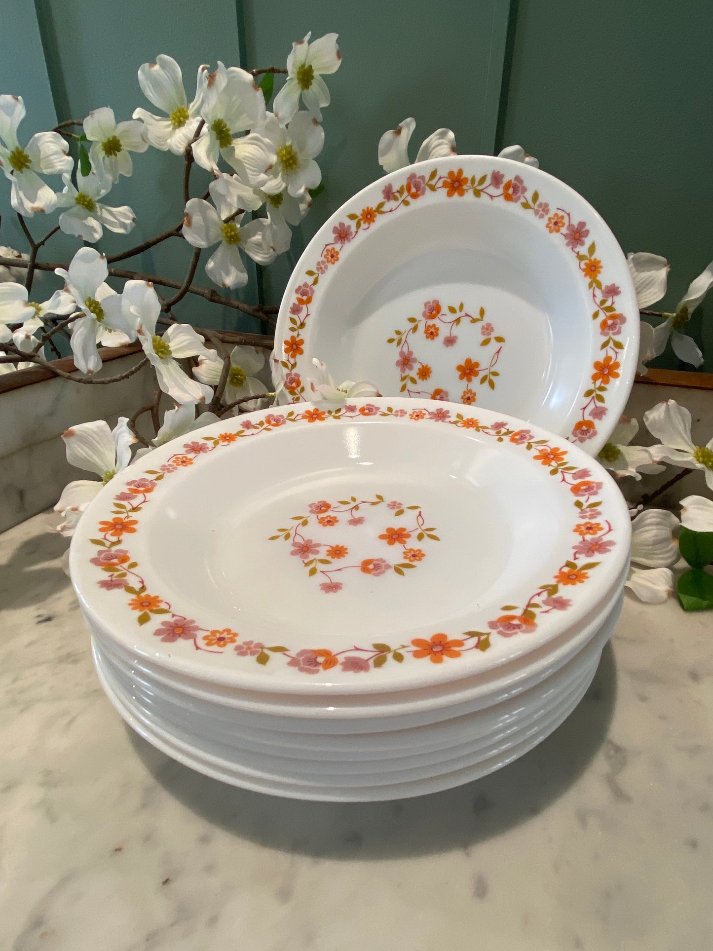 Lot de 10 assiettes creuses Arcopa