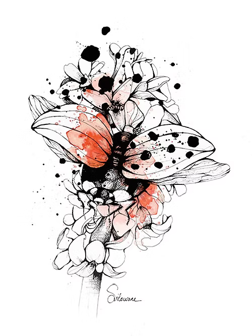 Affiche A4 - COCCINELLE -illustration