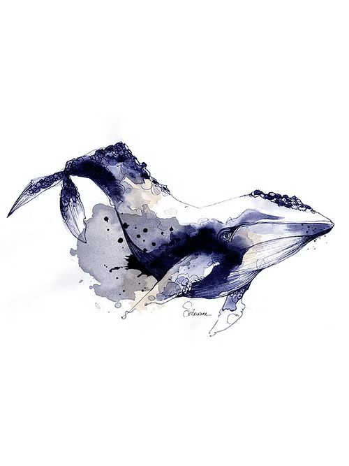 Affiche A4 - BALEINE - Illustration