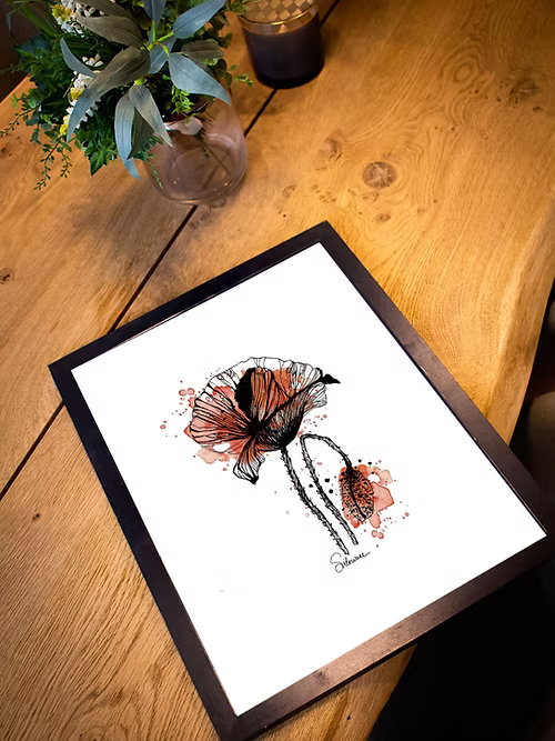 COQUELICOT - Illustration - Format A4