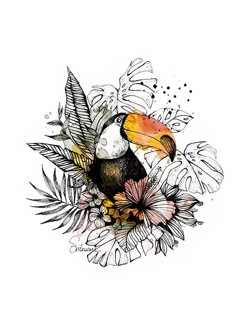 Affiche A4 -TOUCAN - illustration