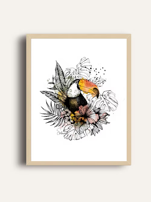 Affiche A4 -TOUCAN - illustration