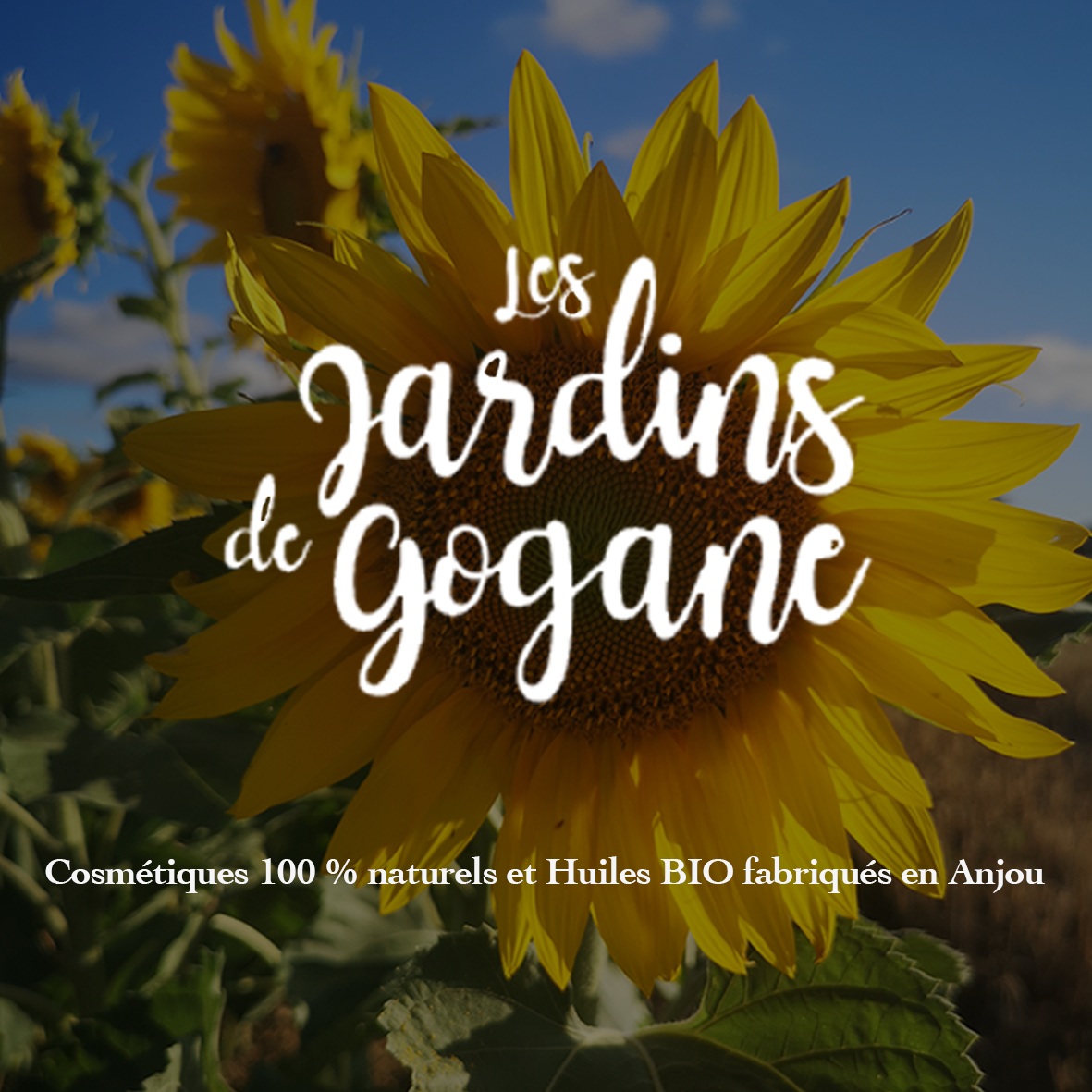 Les jardins de Gogane