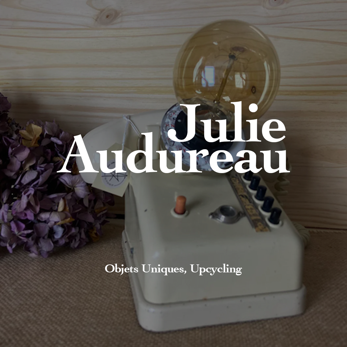 Julie AUDUREAU
