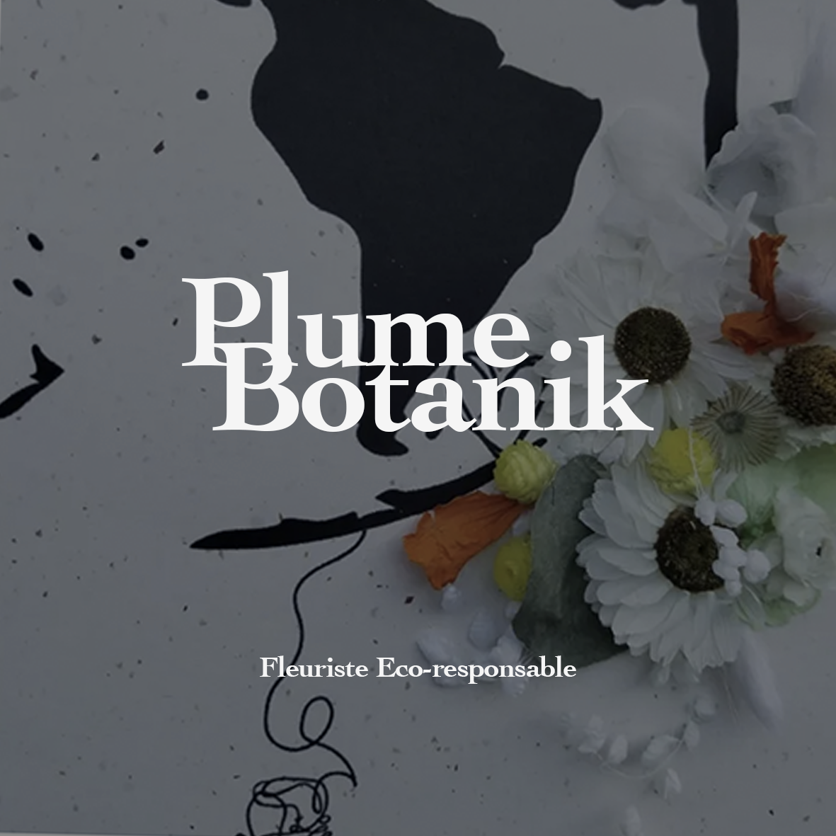 Plume Botanik