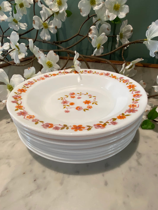 Lot de 10 assiettes creuses Arcopa