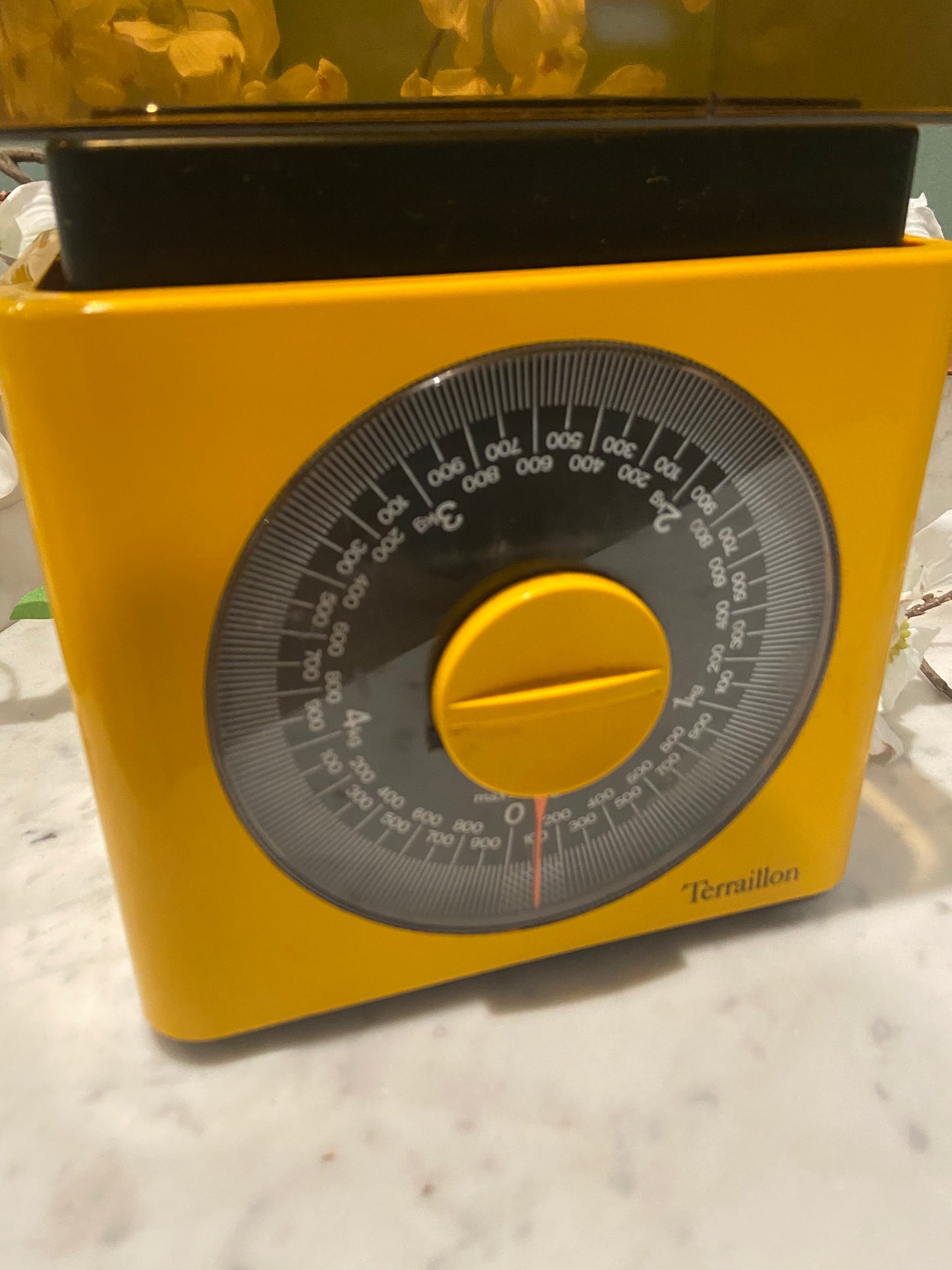 Balance Teraillon jaune vintage