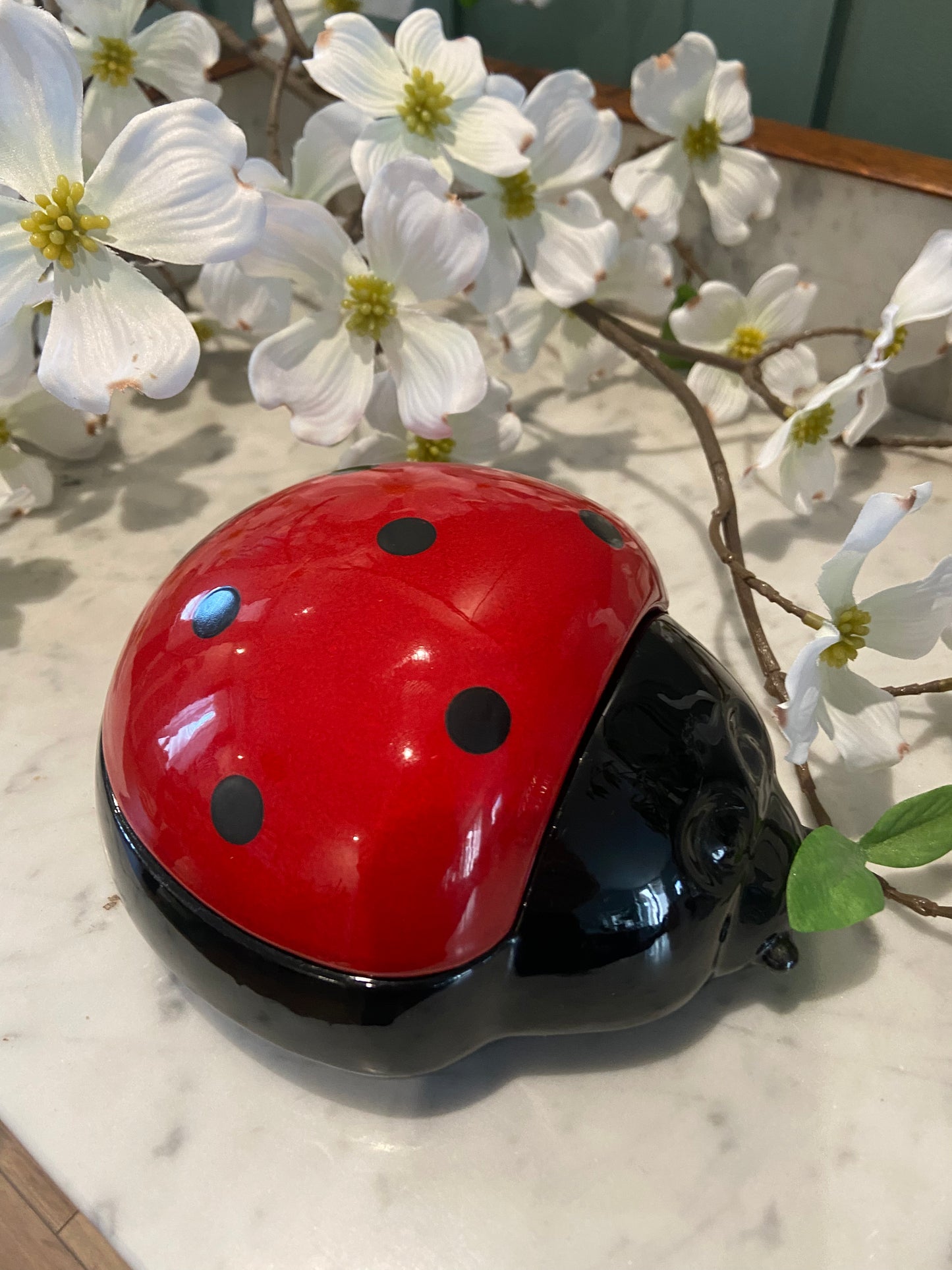 Boîte en céramique coccinelle – Pièce déco ludique et colorée