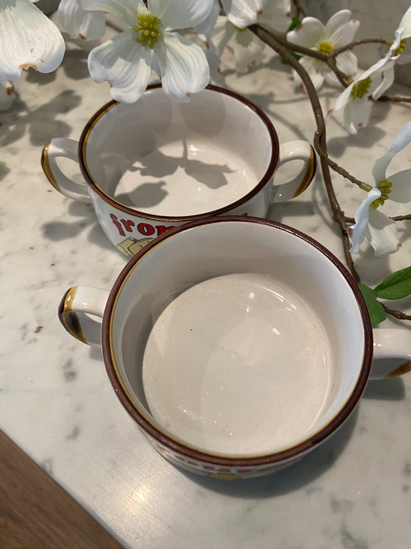 Lot de 2 bols à soupe vintage