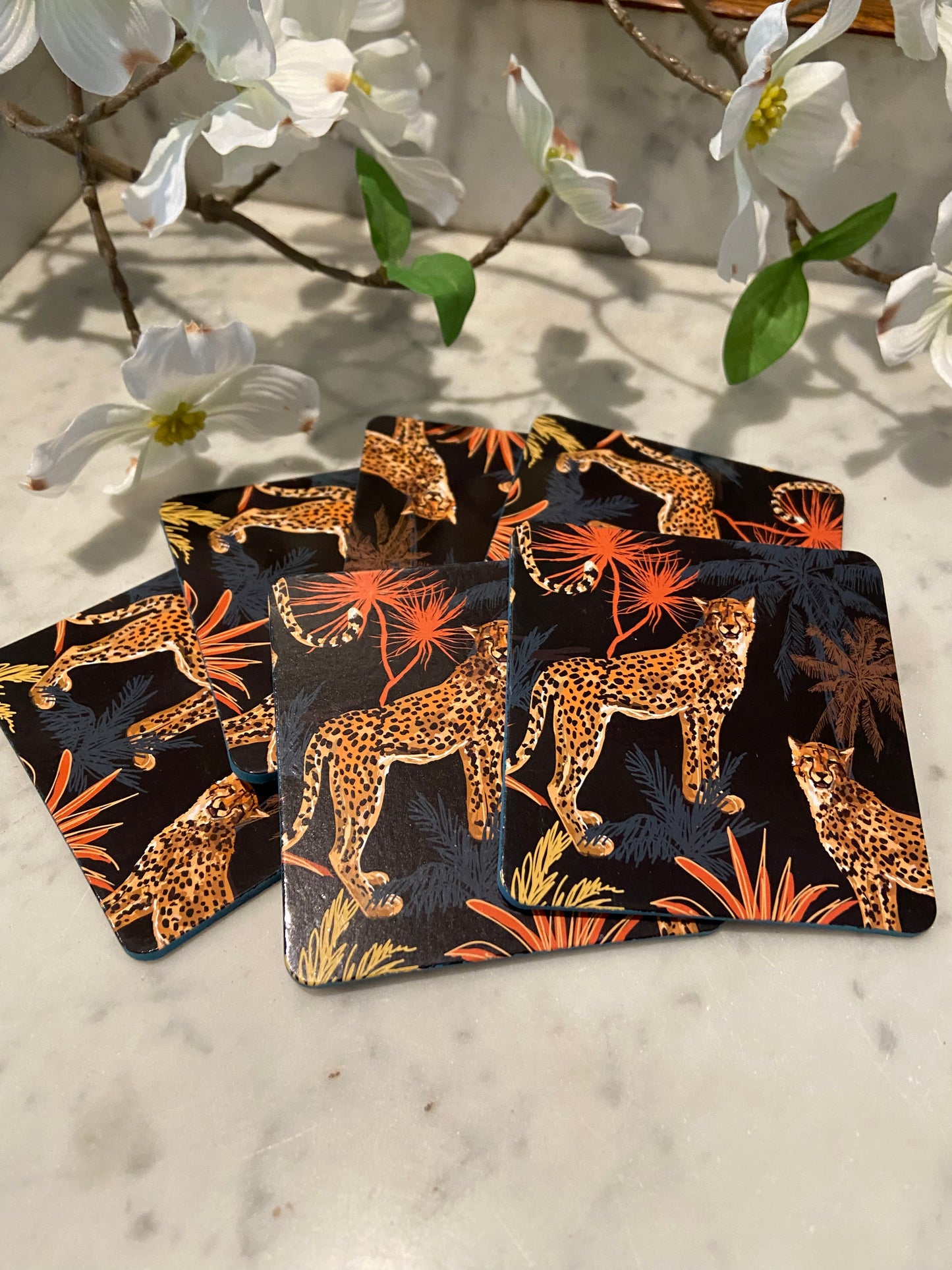 Sous verres Guépard