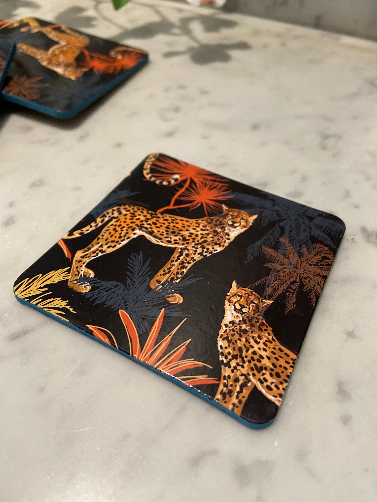 Sous verres Guépard