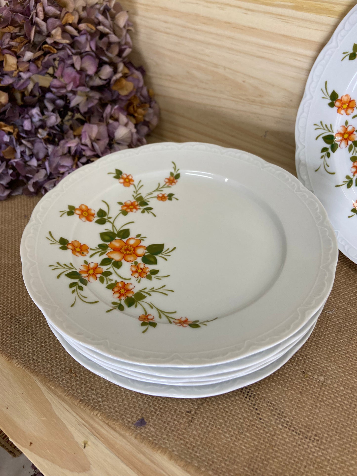 Assiettes Porcelaine BAVARIA Mitterteich