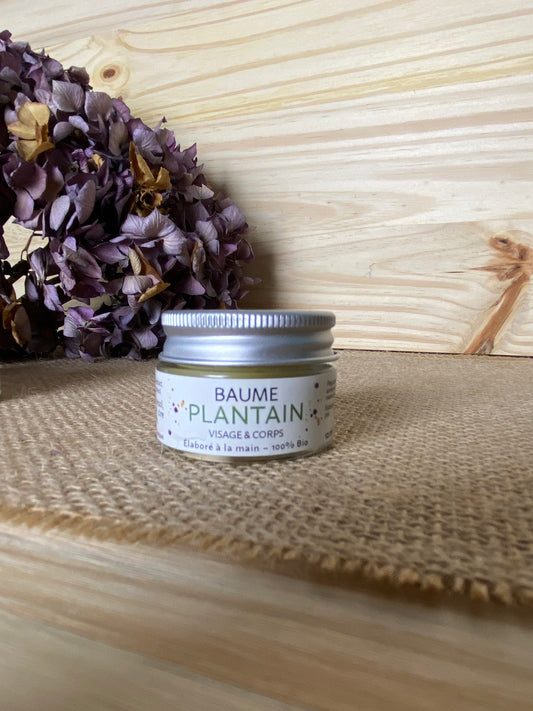 Baume de soin Plantain