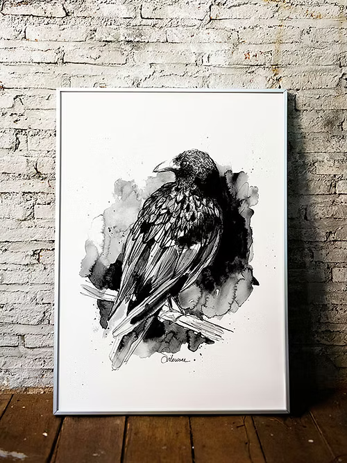 CORBEAU - Illustration - Format A4