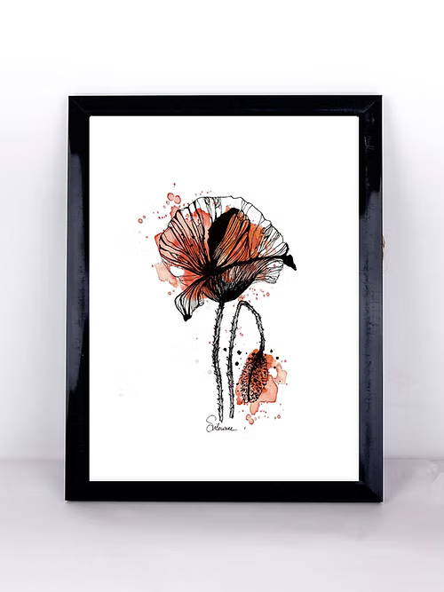 COQUELICOT - Illustration - Format A4